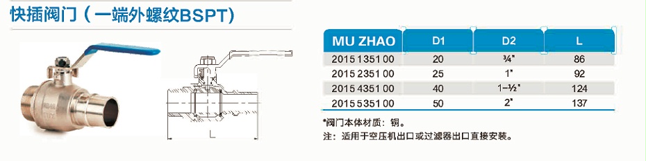 一端外螺纹BSPT快插阀门